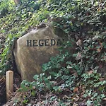Hegedal
