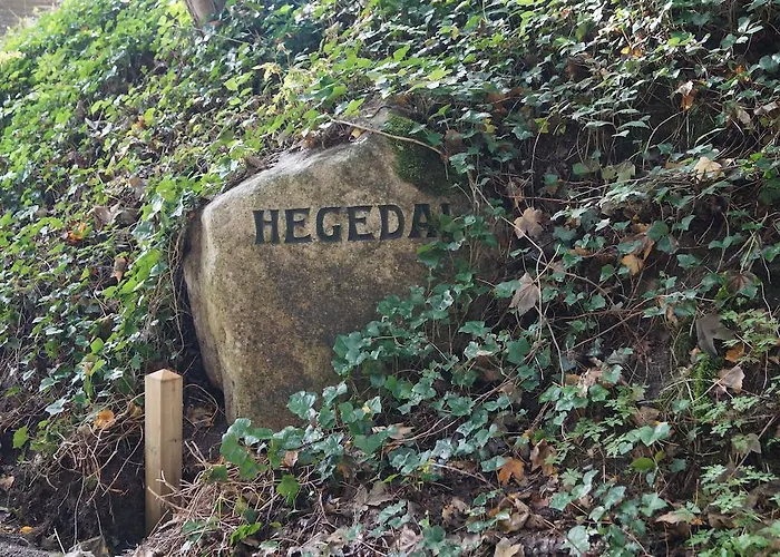 Hegedal